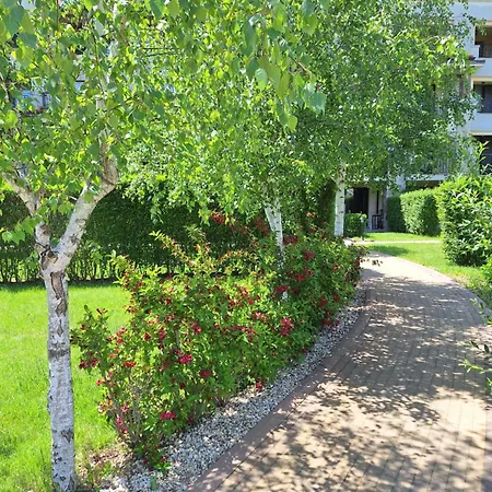 Alex Studio, Sozopol, Kavaci ソゾポル